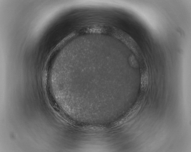 X0000110860722200907301351