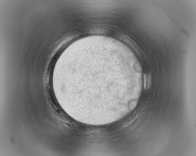 X0000110860723200907301351