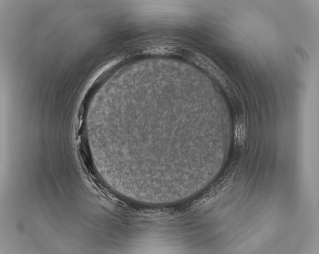 X0000110860724200907301351