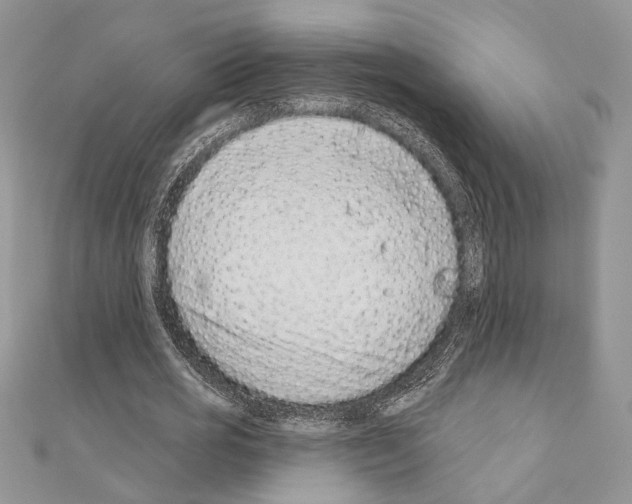 X0000110860725200907301351
