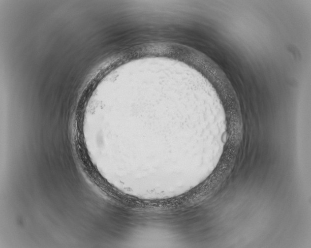 X0000110860726200907301351