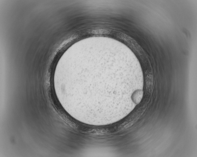 X0000110860727200907301351
