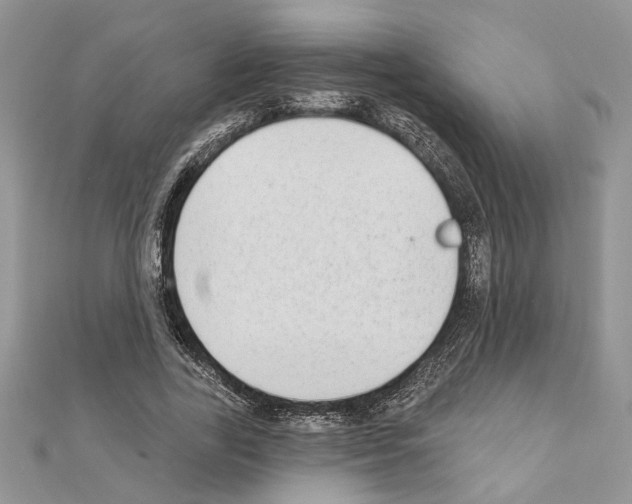 X0000110860731200907301351