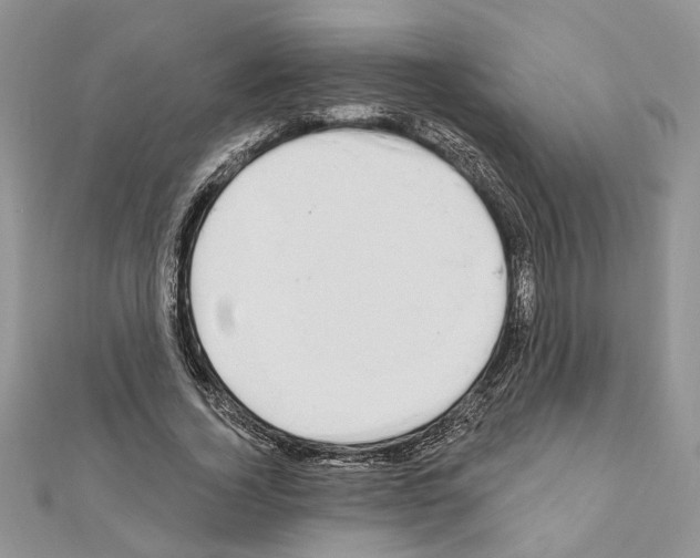 X0000110860732200907301351