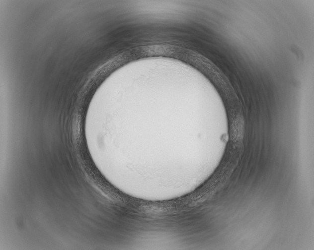 X0000110860733200907301351