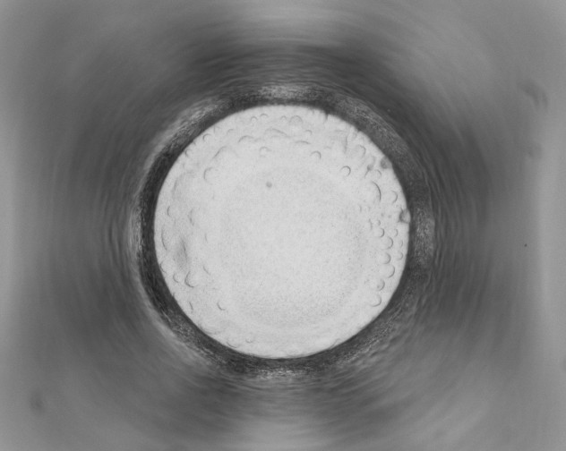 X0000110860734200907301351