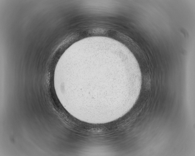 X0000110860735200907301351