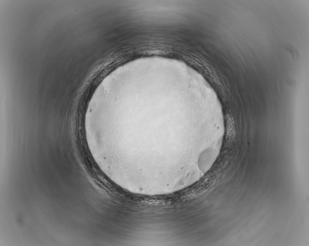 X0000110860736200907301351