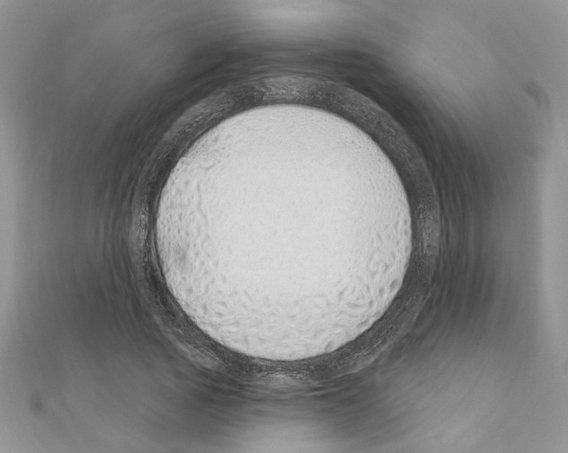 X0000110860737200907301351