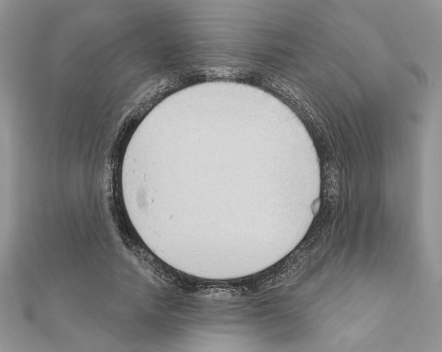 X0000110860738200907301351