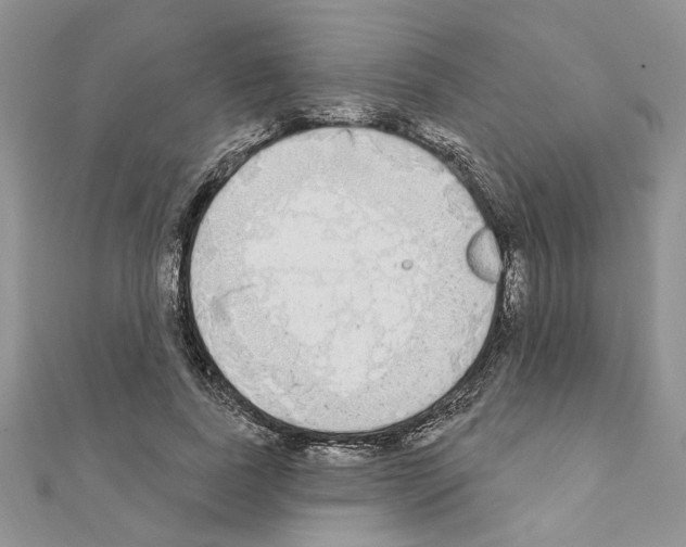 X0000110860739200907301351