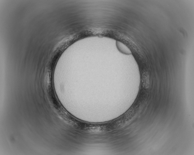 X0000110860740200907301351