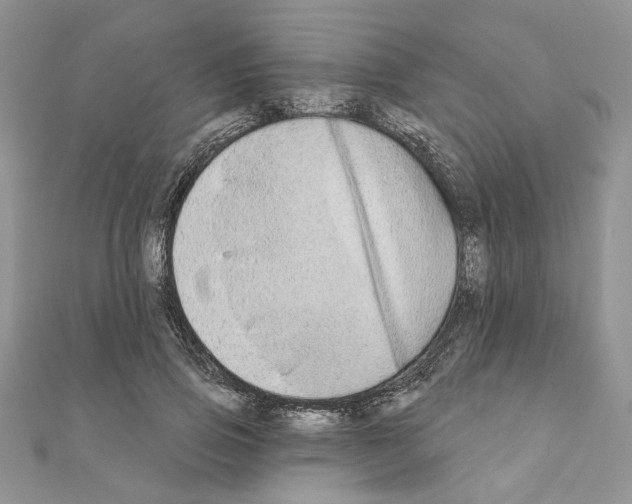 X0000110860741200907301351