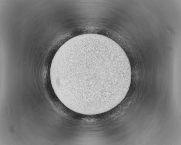 X0000110860742200907301351