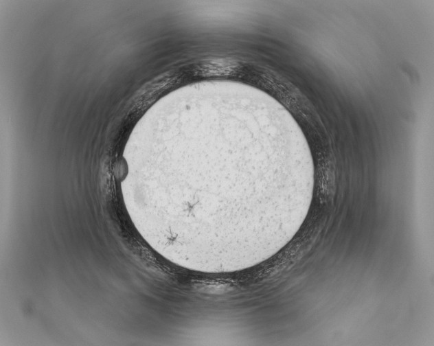 X0000110860743200907301351