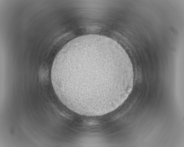 X0000110860745200907301351