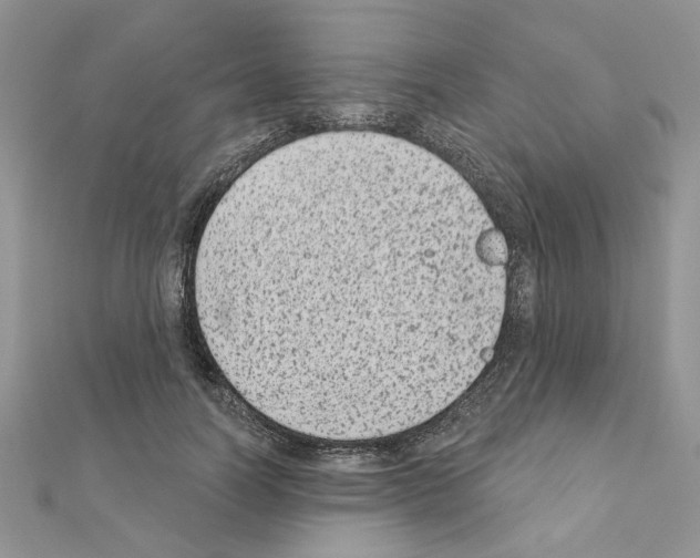 X0000110860746200907301351