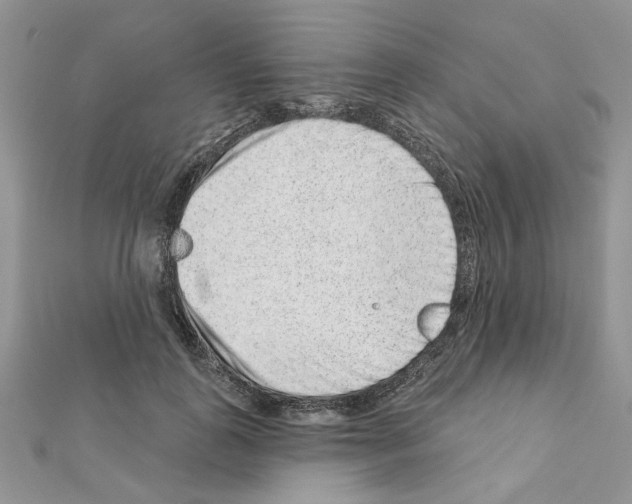 X0000110860747200907301351
