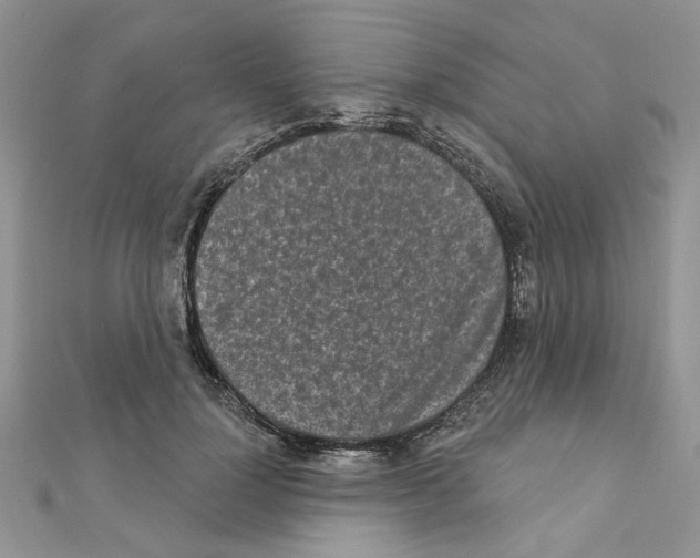X0000110860748200907301351