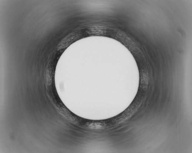 X0000110860751200907301351