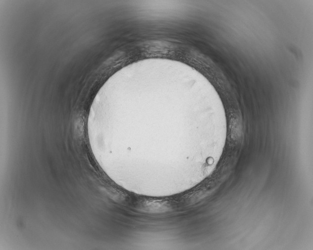 X0000110860753200907301351