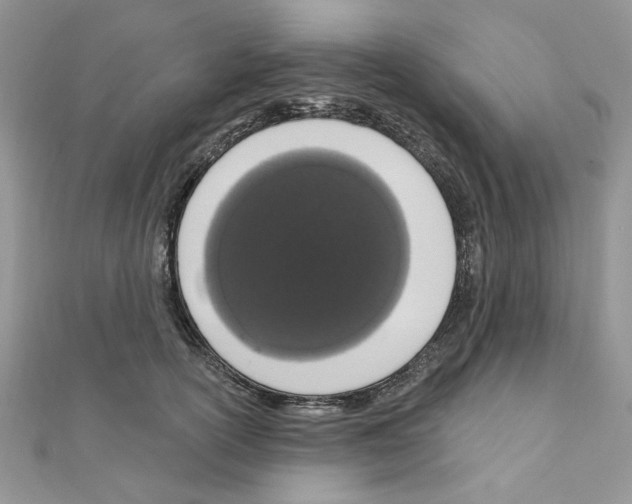 X0000110860754200907301351