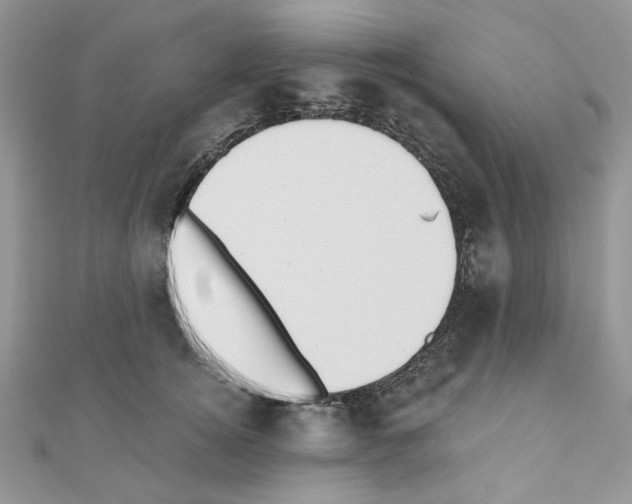 X0000110860756200907301352
