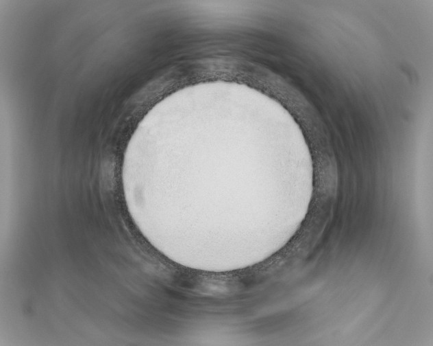 X0000110860757200907301352