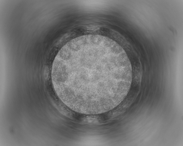 X0000110860758200907301352