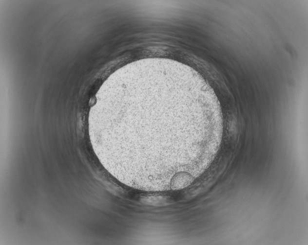 X0000110860759200907301352