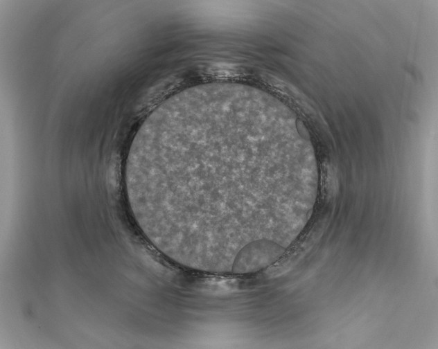 X0000110860760200907301352