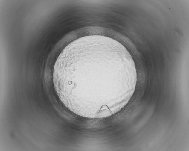 X0000110860761200907301352