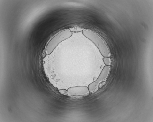 X0000110860762200907301352