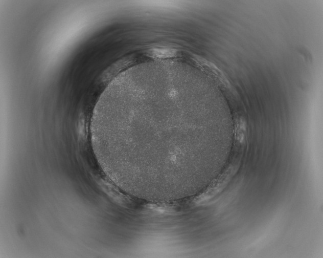 X0000110860763200907301352