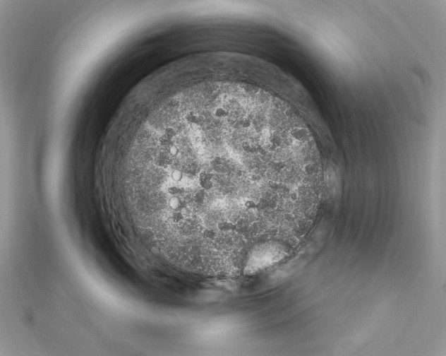 X0000110860765200907301352