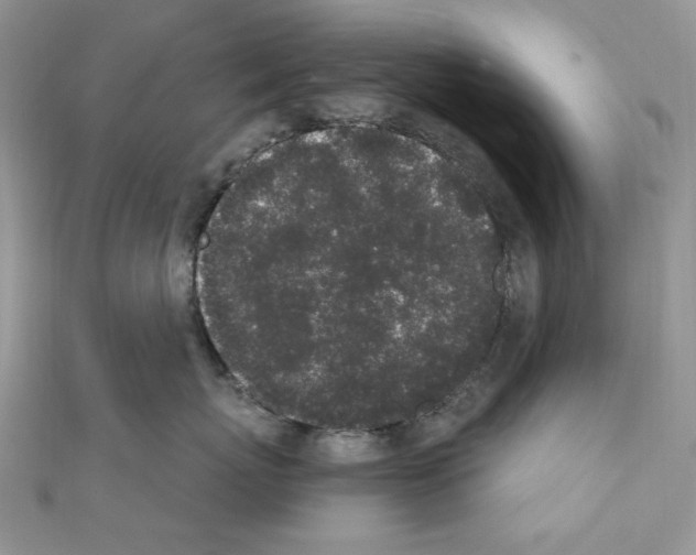 X0000110860767200907301352