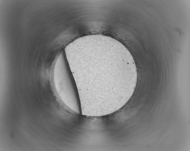 X0000110860768200907301352