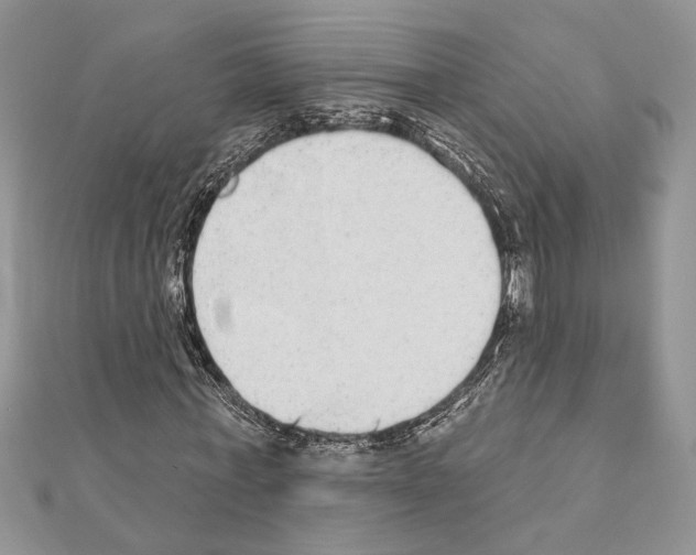 X0000110860771200907301351