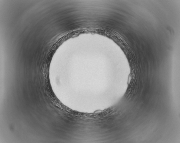 X0000110860773200907301351