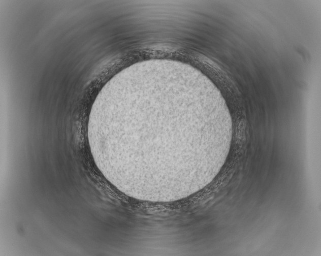 X0000110860774200907301351