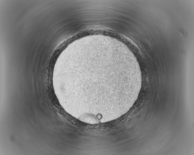 X0000110860775200907301351