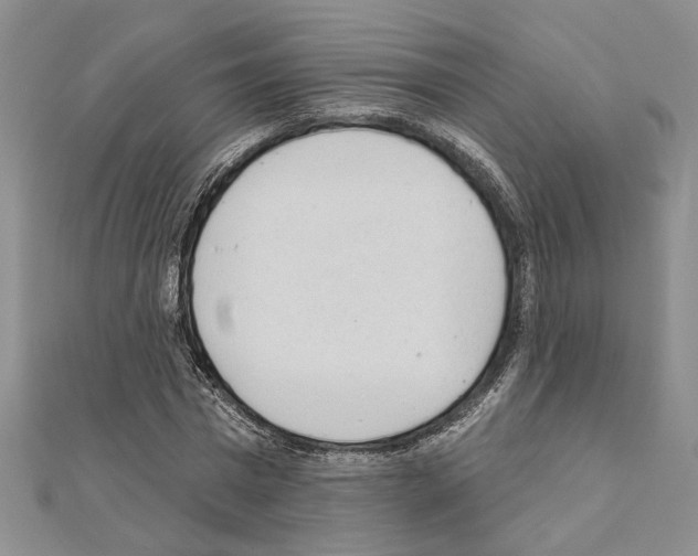 X0000110860777200907301351