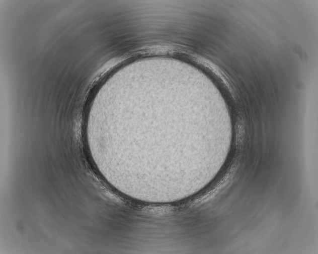 X0000110860778200907301351