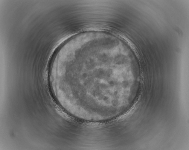 X0000110860779200907301351