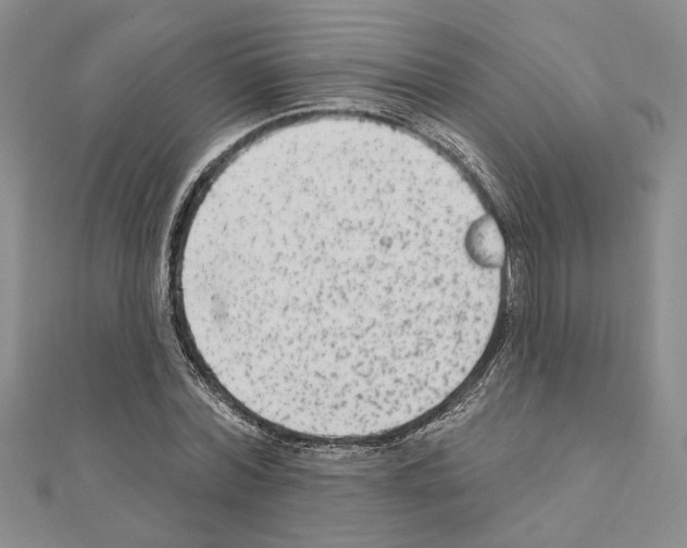 X0000110860780200907301351
