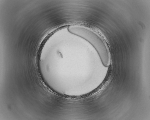 X0000110860781200907301351