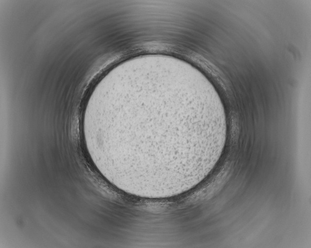 X0000110860782200907301351