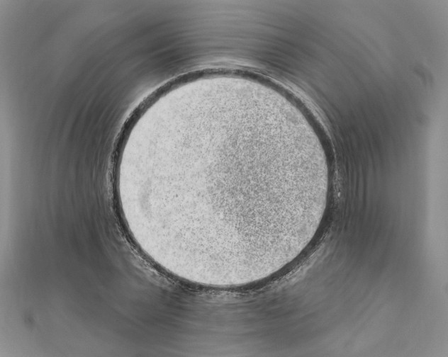 X0000110860783200907301351