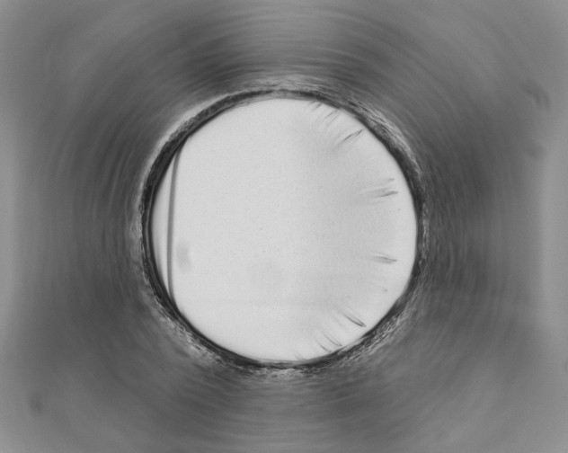 X0000110860784200907301351