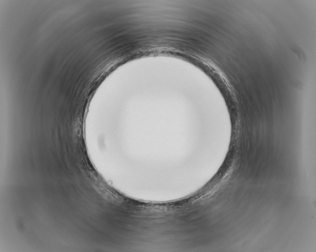 X0000110860785200907301351